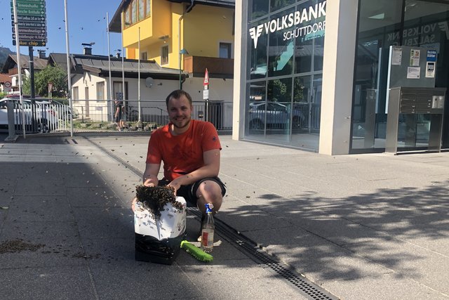 Michael Spitzer beim Bienen einfangen!