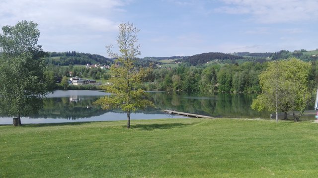 So schön ist es am Pibersteinersee, jetzt ist der Badebetrieb wieder gesichert. | Foto: Cescutti