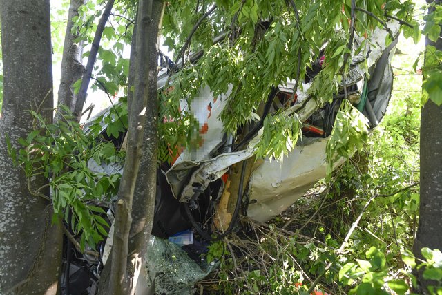 Foto: zeitungsfoto.at