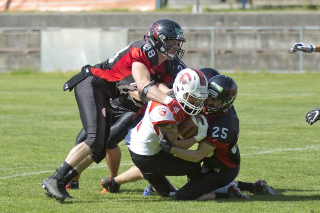 Die Carinthian Lions kämpften, doch diesmal erfolglos