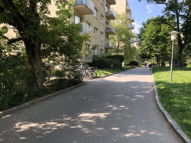 Beim Spaziergang durch die Anlage in der Gentzgasse 14 stößt man auf ein grünes Idyll.