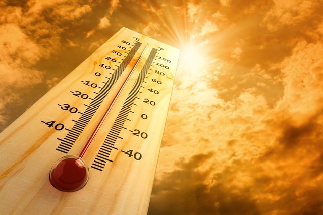 Hitze in der Stadt: Was man bei Temperaturen über 30 Grad für Mensch und Tier beachten sollte.