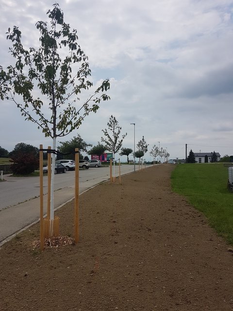 Foto: Gemeinde Lichtenberg