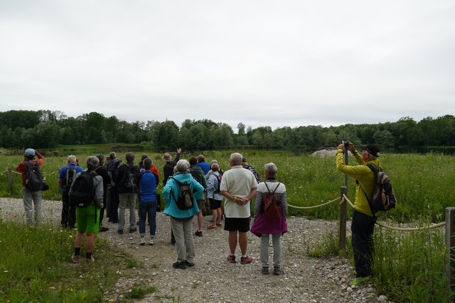 Die Ufer des  Ausees wurde abgeflacht. | Foto: Kleemayr