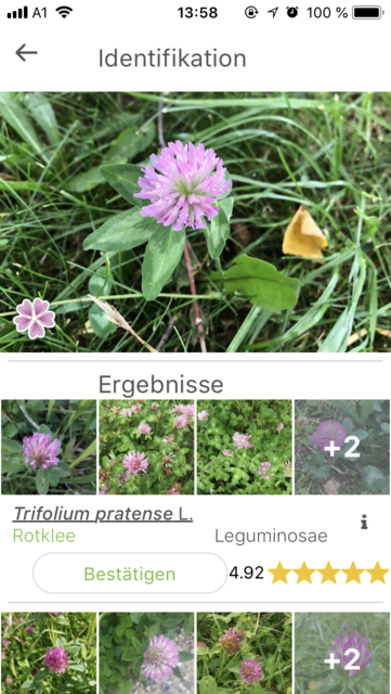 40+ Welches Ist Die Beste App Zur Pflanzenbestimmung Von