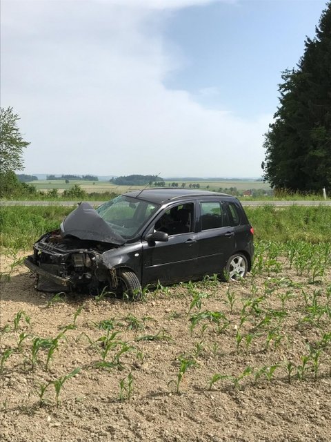 Das Auto kam in einem Maisfeld auf den Rädern zum Stehen.
