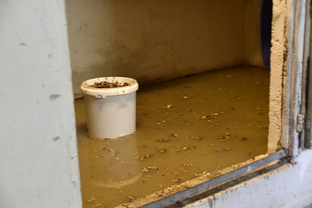 Einige Keller in der unteren Lend waren vom Hochwasser betroffen.