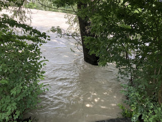 Hochwasser – Inn bei der Grenobler Brücke
12.6./12:00 | Foto: skn
