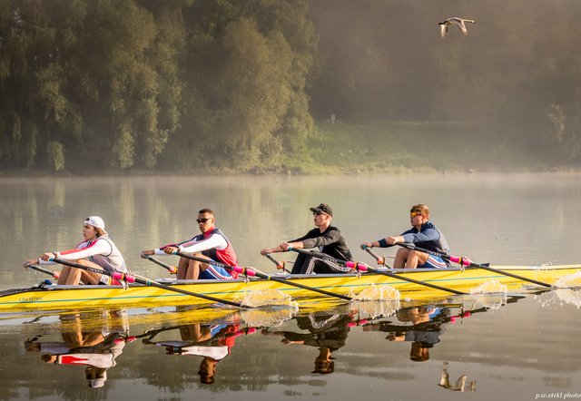Die Ruderer vom RLV Ister finden entlang der Donau optimale Trainingsbedingungen mitten in der Stadt vor. | Foto: PW Stekl