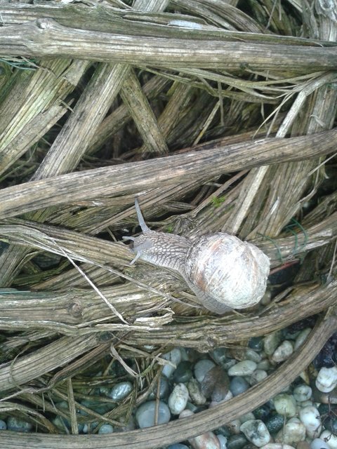 Foto: Eva Schachinger