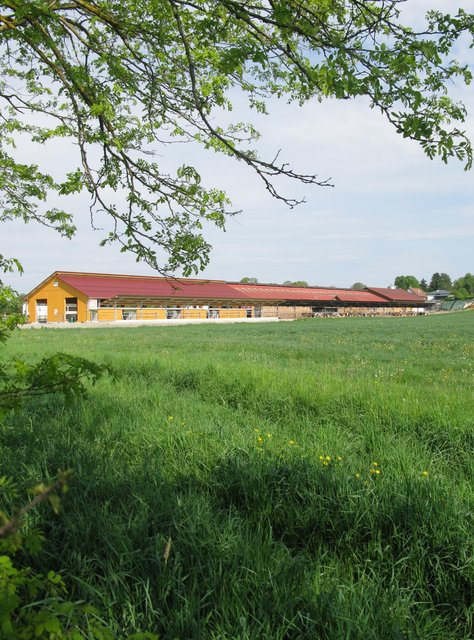 Neue Ställe werden im Burgenland in Zukunft nur noch für biologisch wirtschaftende Betriebe genehmigt.