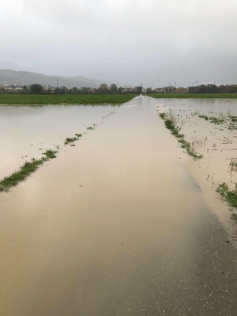 Der Radweg in den Spittaler Drauauen nach der Unwetterkatastrophe Ende Oktober 2018 | Foto: Palle