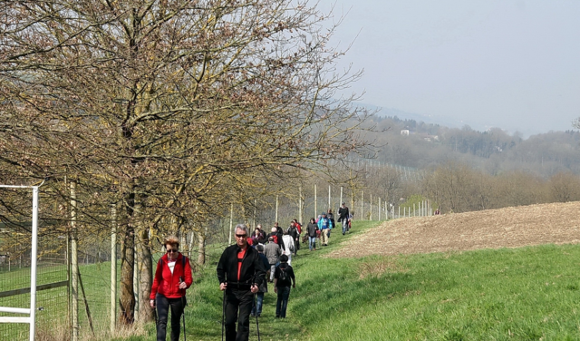 In Scharten befindet sich am Kirschblütenweg ein Bienenerlebnispfad. | Foto: Naturpark Obst-Hügel-Land