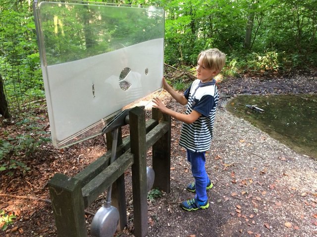 Viel zu entdecken gibt es beim Weg der Sinne. | Foto: Martin Nagl