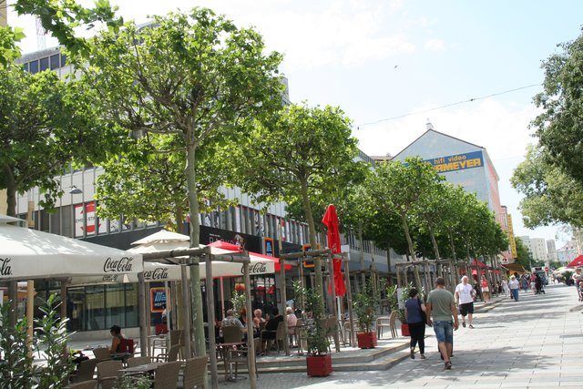 Mit der Neugestaltung der Meidlinger Hauptstraße wurde der Baumbestand fast verdoppelt, so Andrea Katz (SPÖ).