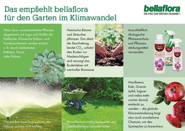 Empfehlungen für den Garten im Klimawandel.