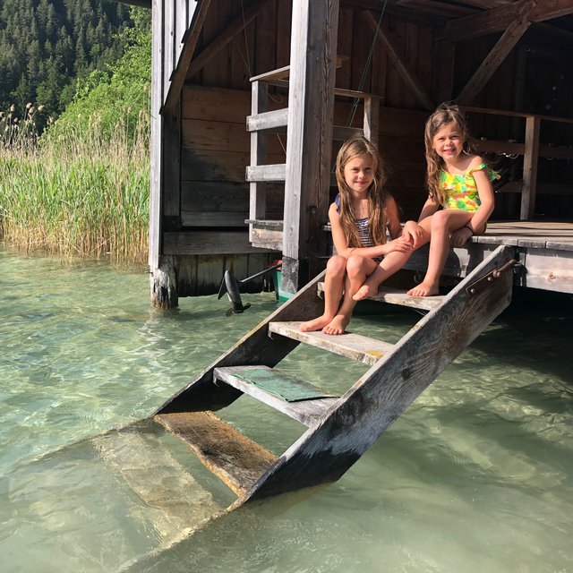 Hier am Weißensee, Ostufer, Stockenboi | Foto: wrann