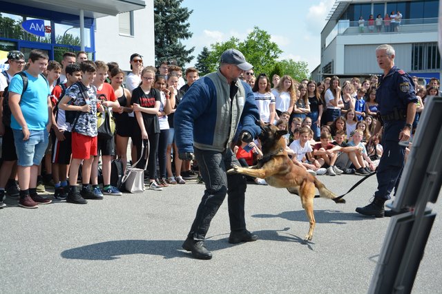 Großes Staunen bei den Jugendlichen: die Hundestaffel der Polizei bot eine beeindruckende Vorführung am Parkplatz des BIZ und AMS Hartberg.