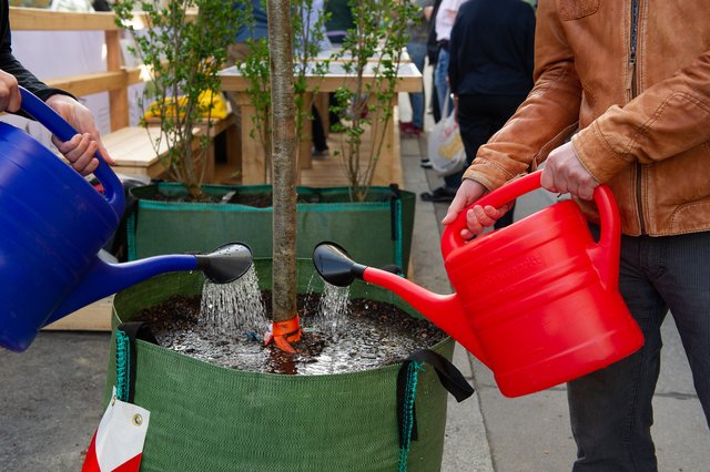 Die Mitglieder der Garagenwerkstatt werden sich für 34 Tage um die Wanderbaum-Allee in Mariahilf kümmern.