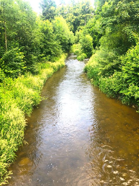Ein rotgelber krummer Fluss Zwettl