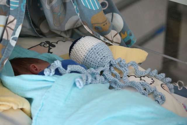 Die Innsbrucker Neonatologie sucht Häkelbegeisterte, die für Frühchen Kraken häkeln. | Foto: Tirol Kliniken