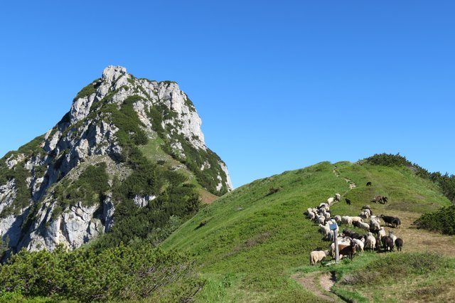 Anstieg Richtung Hochkranz-Ostgrat knapp vor der Abzweigung des Normalweges. | Foto: Thomas Neuhold