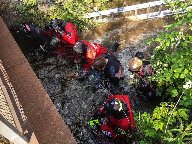 Die Einsatztaucher der Feuerwehr unterstützten die Polizei in Knittelfeld. | Foto: FF/Zeiler