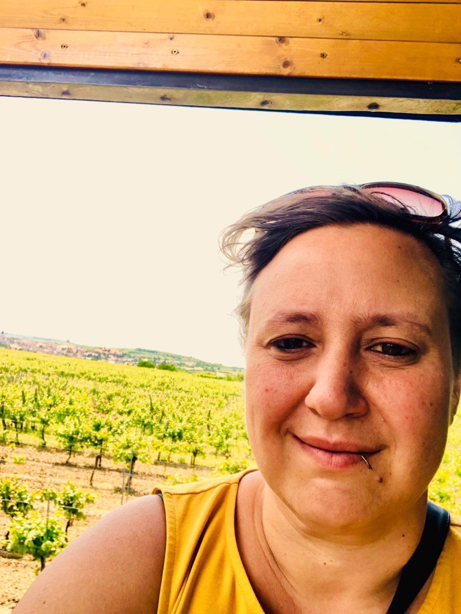 In der Rubrik Kontaktanzeigen Viehofen finden Sie 809 Kontaktanzeigen, u.a. Seriser Diskreter Mann sucht FRAU fr gelegentliche treffen wo fr beide Kontaktanzeigen Viehofen | Locanto Dating Viehofen