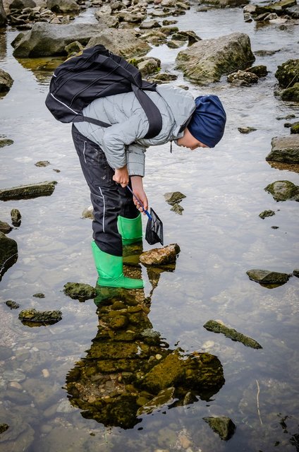 Unser Nachwuchs erforscht die Ökologie der Ybbs und der Erlauf. | Foto: Harald Ley