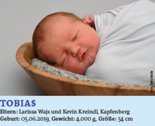 Tobias Wajs, Kapfenberg