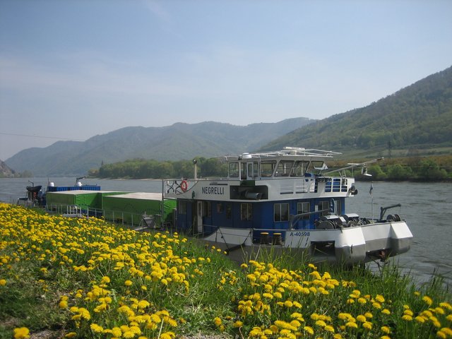 Die MS Negrelli.