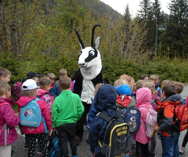 Seit 2006 haben über 1.000 Kindergartenkinder den Nationalpark Hohe Tauern besucht - und zwar mit der ÖBB