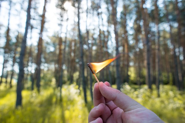 Die Waldbrandgefahr ist derzeit in der Region besonders hoch. | Foto: Fotolia