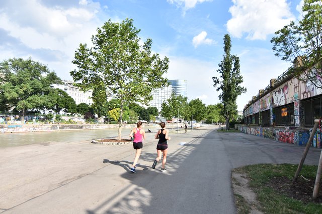 Im Sommer verwandelt sich der Donaukanal zur belebten Freizeitmeile mit kleinen Schönheitsfehlern.