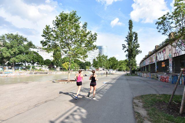 Im Sommer verwandelt sich der Donaukanal zur belebten Freizeitmeile mit kleinen Schönheitsfehlern. | Foto: Max Spitzauer