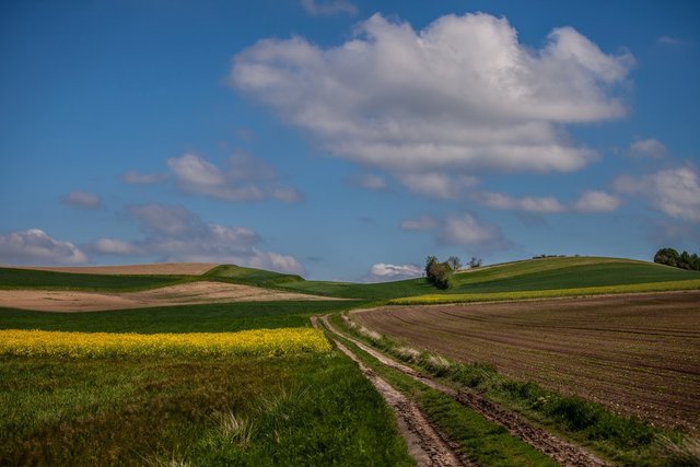 Die 12 schönsten Motive des Weinviertels kennt.