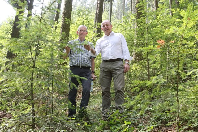 Bischofsvikar Johann Hintermaier und Agrar-Landesrat Max Hiegelsberger in einer Douglasien-Verjüngung. | Foto: Land OÖ/Kraml