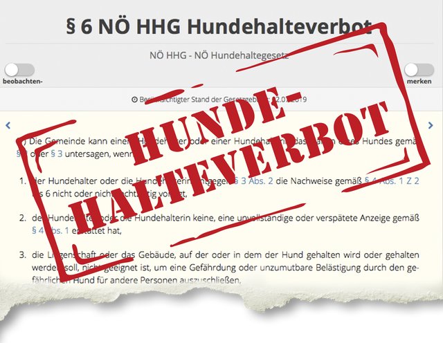 Bereits im September 2018 hat die Stadt ein Hundehalteverbot erlassen.