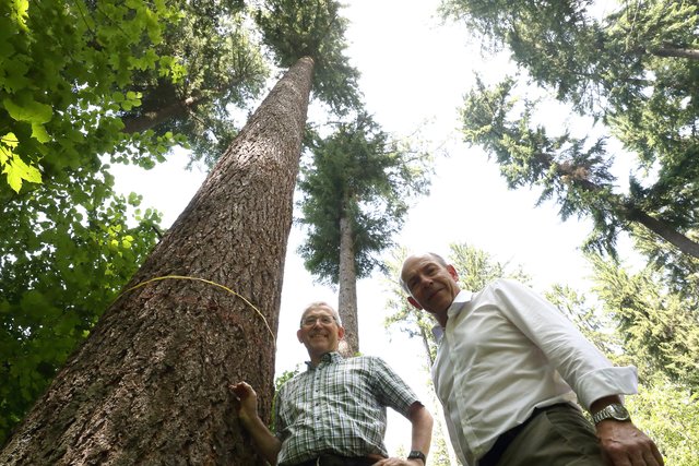 Bischofsvikar Johann Hintermaier und Agrar-Landesrat Max Hiegelsberger beim wohl höchsten Baum Oberösterreichs, einer 60 Meter hohen Douglasie. | Foto: Land OÖ/Kraml