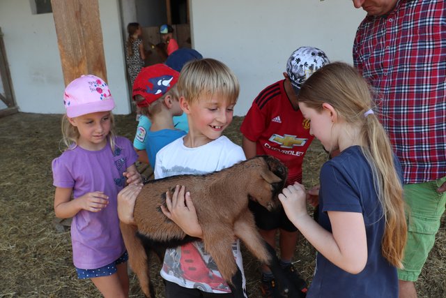 Das zwei Wochen alte Ziegenkitz am Bauernhof Kurzmann war der erklärte Liebling der VS Mellach. | Foto: Edith Ertl