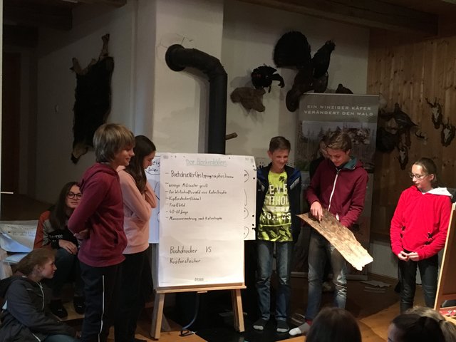 Die Schüler der NMS Rohrbach erkundeten  beim Workshop "Universum Totholz" das Leben des Borkenkäfers. | Foto: Helmut Eder