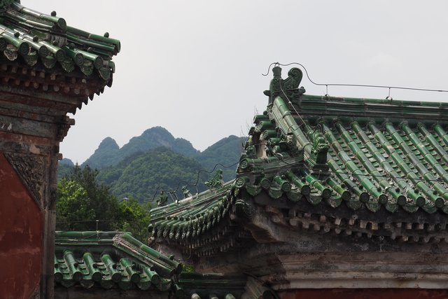 Foto: Andrea Hofmann