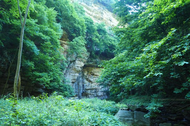 Foto: Andrea Hofmann