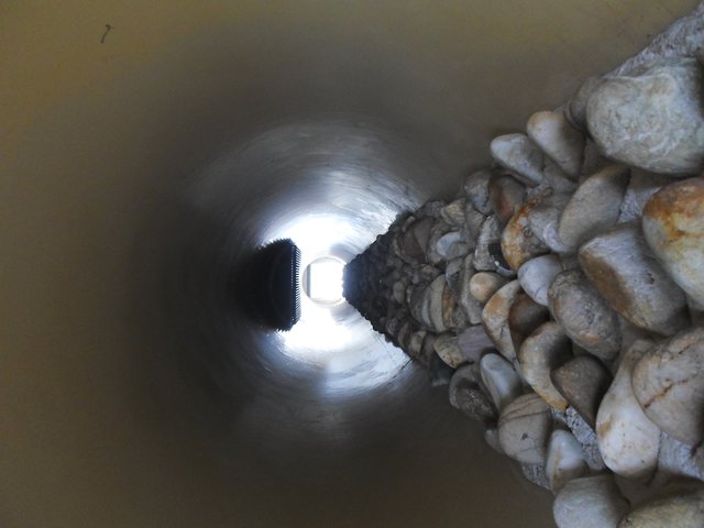 Foto: Fishcon