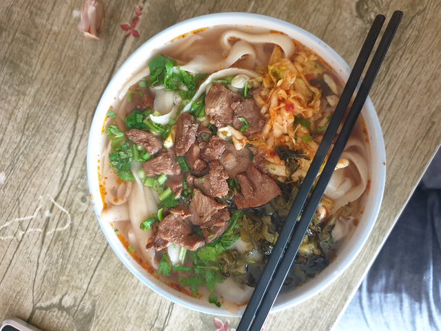 Foto: Andrea Hofmann