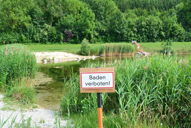 Wegen Biber: Badeverbot in der Pielachtaler Sehnsucht. | Foto: Tanja Handlfinger