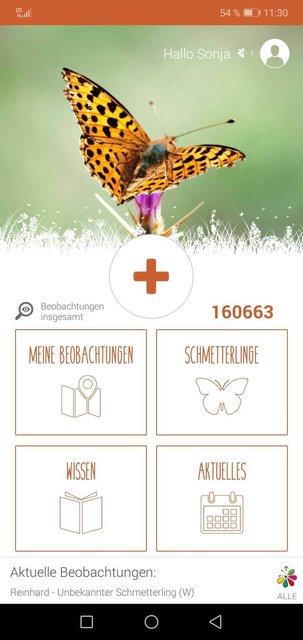 Eine kurze Anmeldung später ist man schon live dabei.