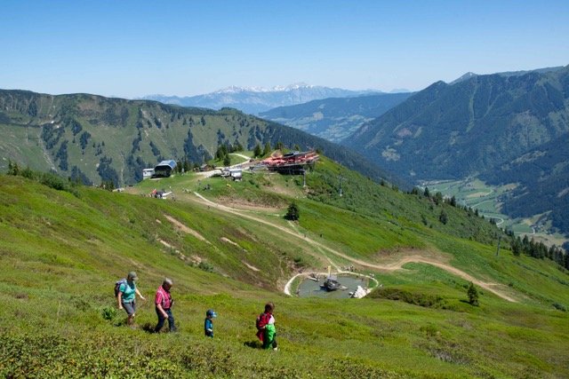Rund 700 begeisterte Besucher aus allen Regionen der Steiermark folgten dem Aufruf der Steiermärkischen Landarbeiterkammer.
