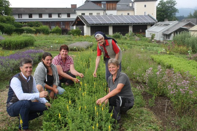 Gerhard Neff, Andrea Feistritzer, Gudrun Gattara, Schwester Pallotti und Elisabeth Würcher | Foto: Katholische Aktion