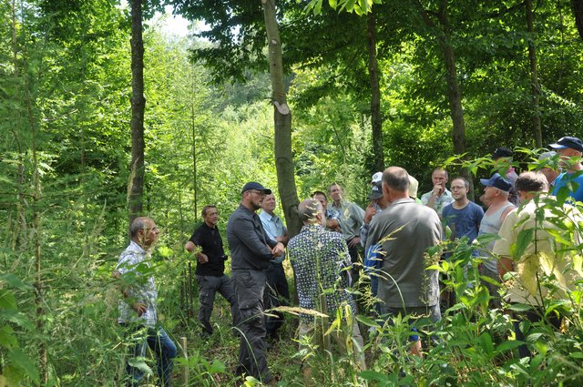 Setzen auf Weiterbildung für einen zukunftsfähigen Wald: Valentin Krenn (2.v.l.) und Ulrich Arzberger (3.v.l.) | Foto: WOCHE